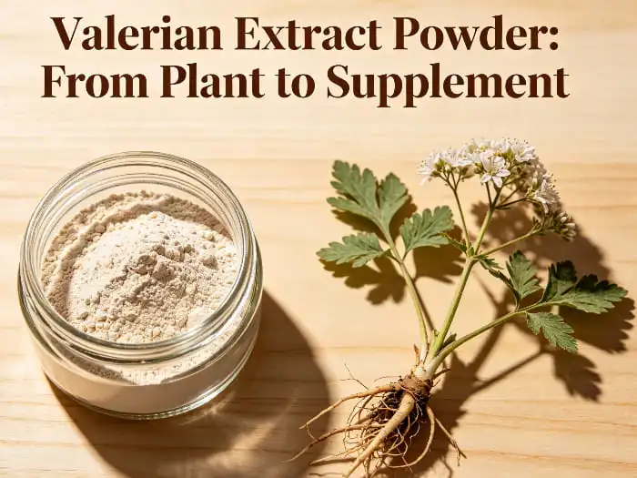 What is Valerian Root Extract?